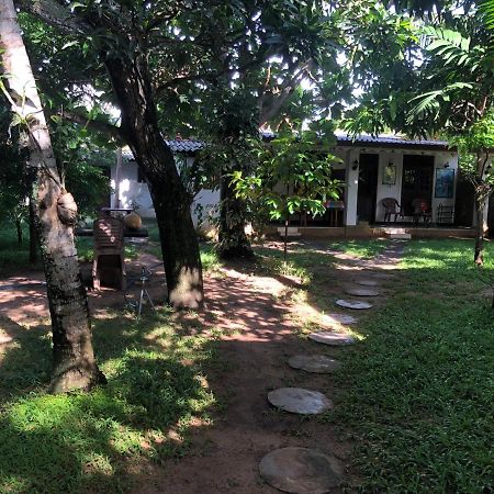 Sylvester Villa Hostel Negombo Exteriör bild
