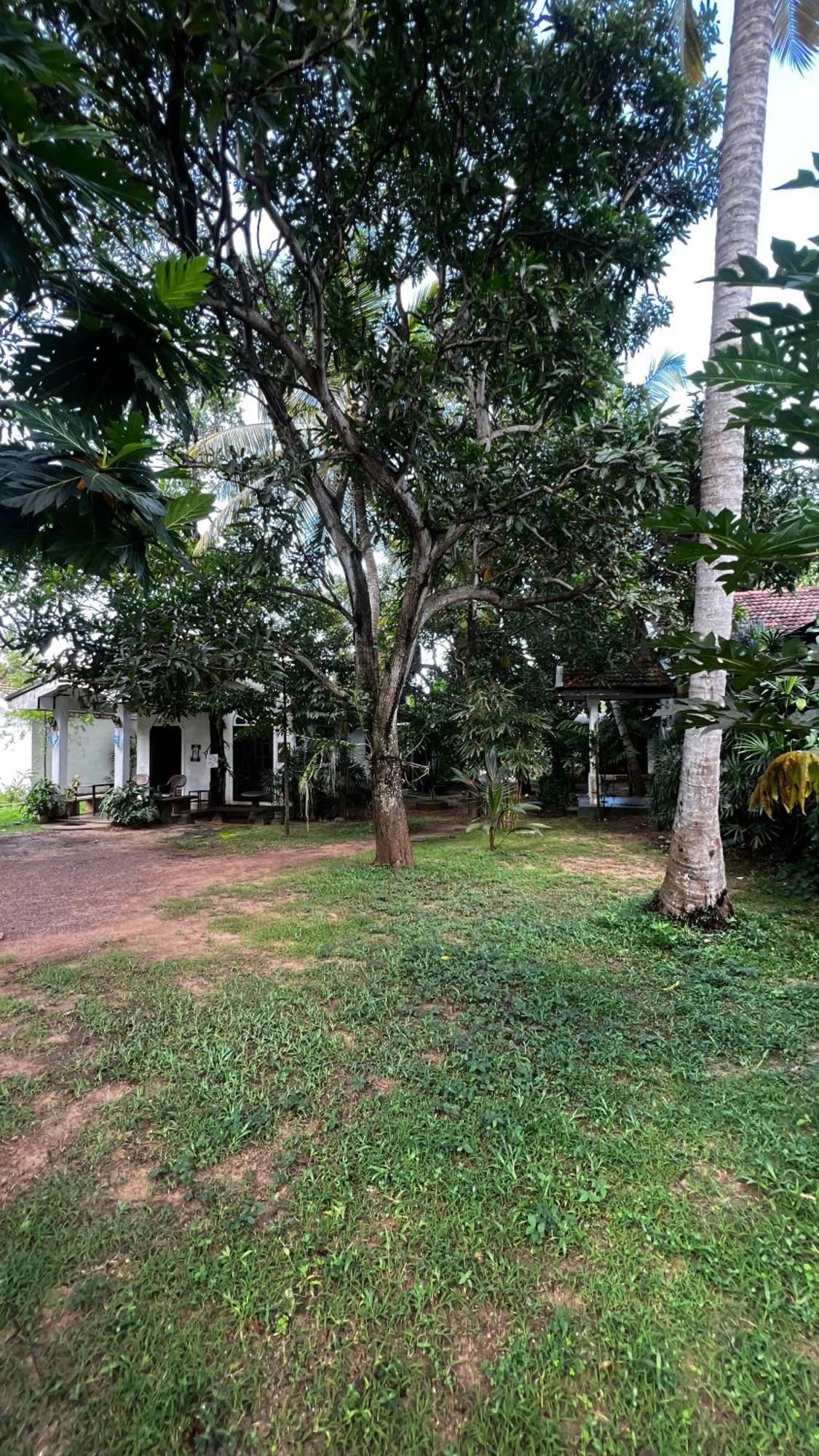 Sylvester Villa Hostel Negombo Exteriör bild