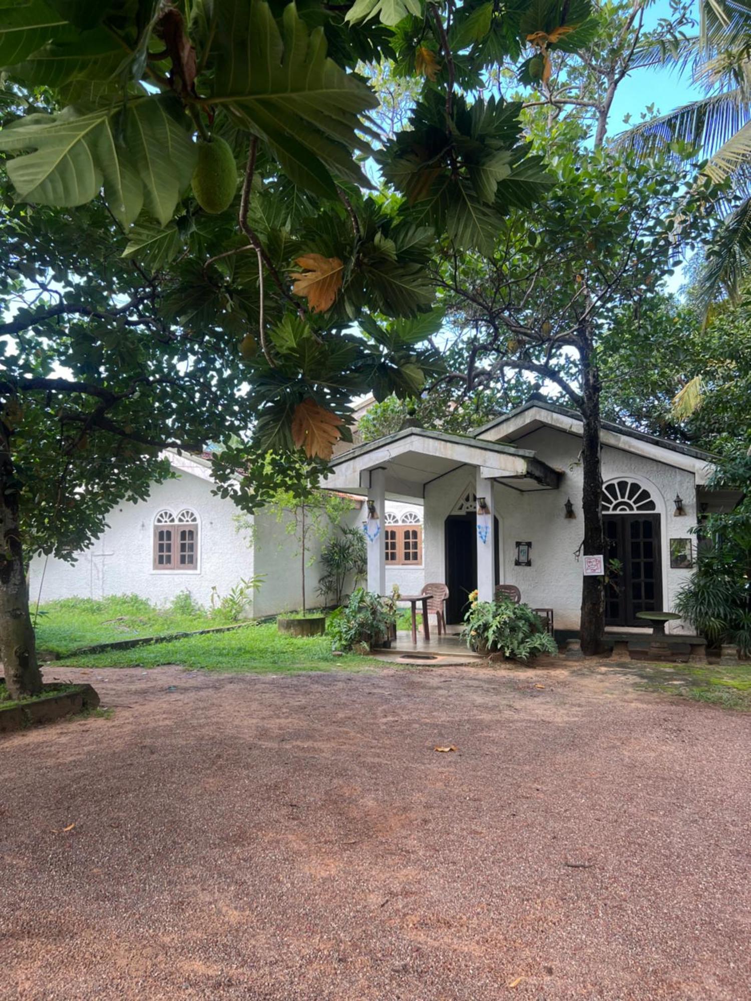 Sylvester Villa Hostel Negombo Exteriör bild
